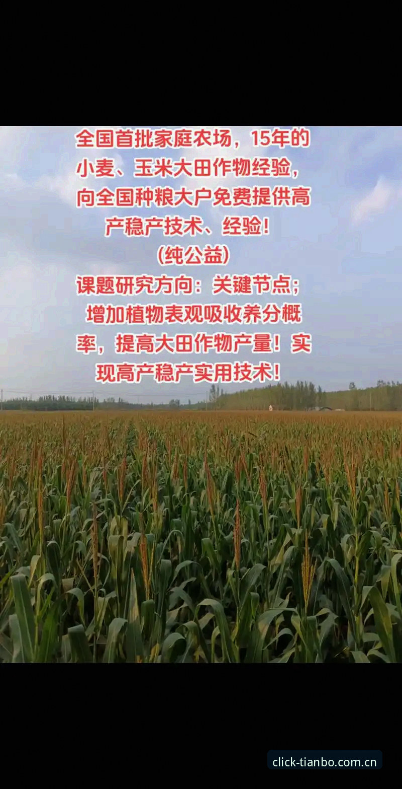 搞定天博自建年度标示年度客户端常见问题，老用户给你几招实用经验